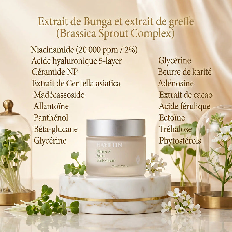 Crème visage Pudding Raffermissante aux Pousse de Plantes pour Hydratation Intense - HAYEJIN HAYEJIN